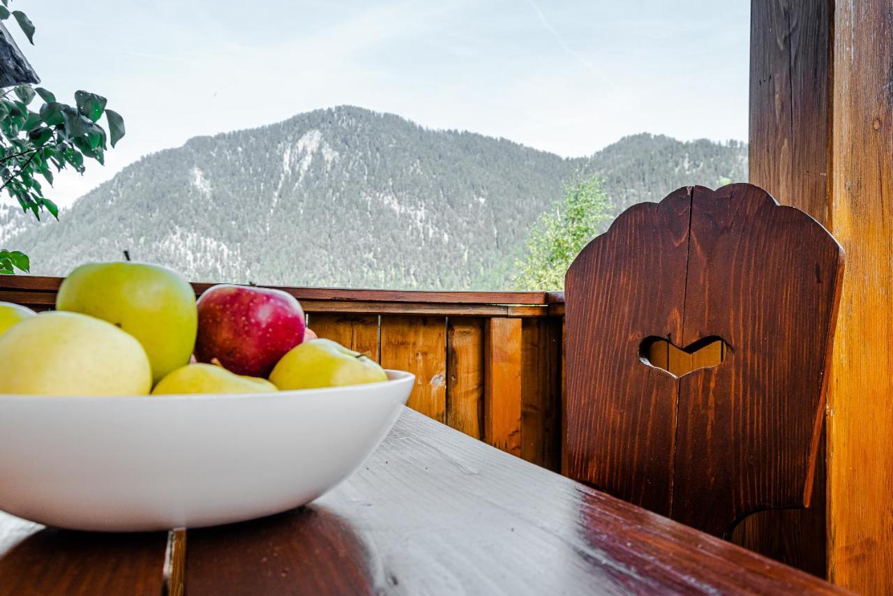 Apartment Dolomites Nest Сан-Мартино-ин-Бадия Экстерьер фото